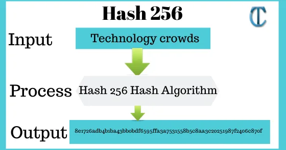 SHA-256 cryptographic seed generation proving unpredictability of crash points